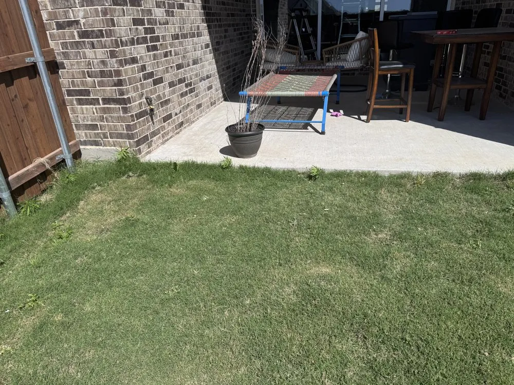 Professional yard cleanup service in Fort Worth, TX by The STARZ Lawn Pros