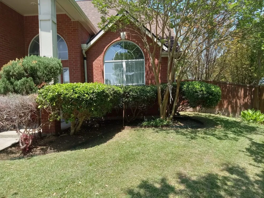 Local landscaping services for outdoor upgrades in Fort Worth, TX by The STARZ Lawn Pros