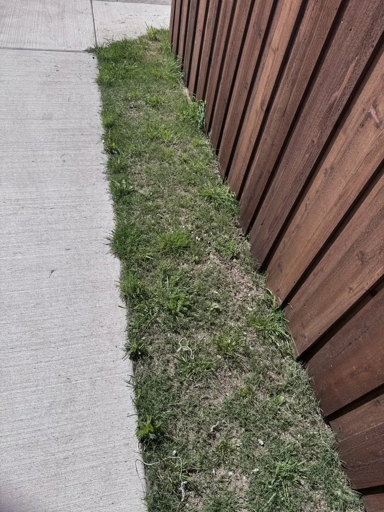 Local yard maintenance experts serving Fort Worth, TX - The STARZ Lawn Pros