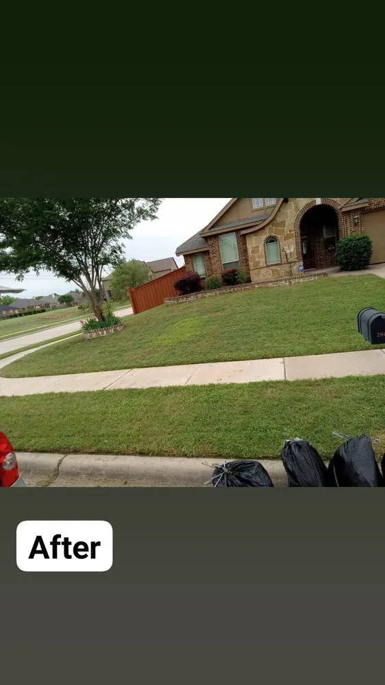 Local yard cleanup service in Fort Worth, TX by The STARZ Lawn Pros