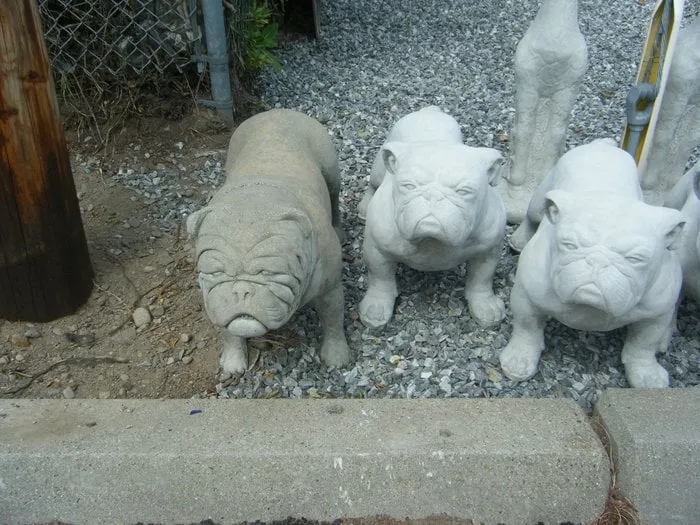 Expert lawn care service near you in North Attleboro, MA by The Statue Company