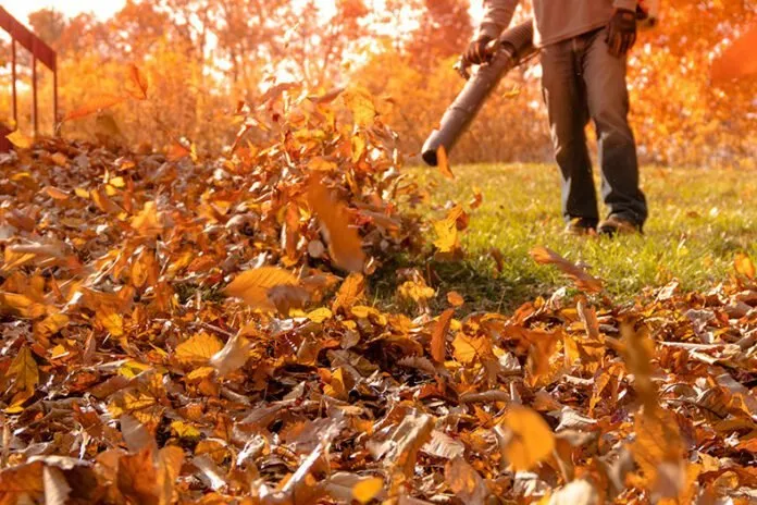 Expert landscape installation in Benson, NC by The Steel Leaf Lawn