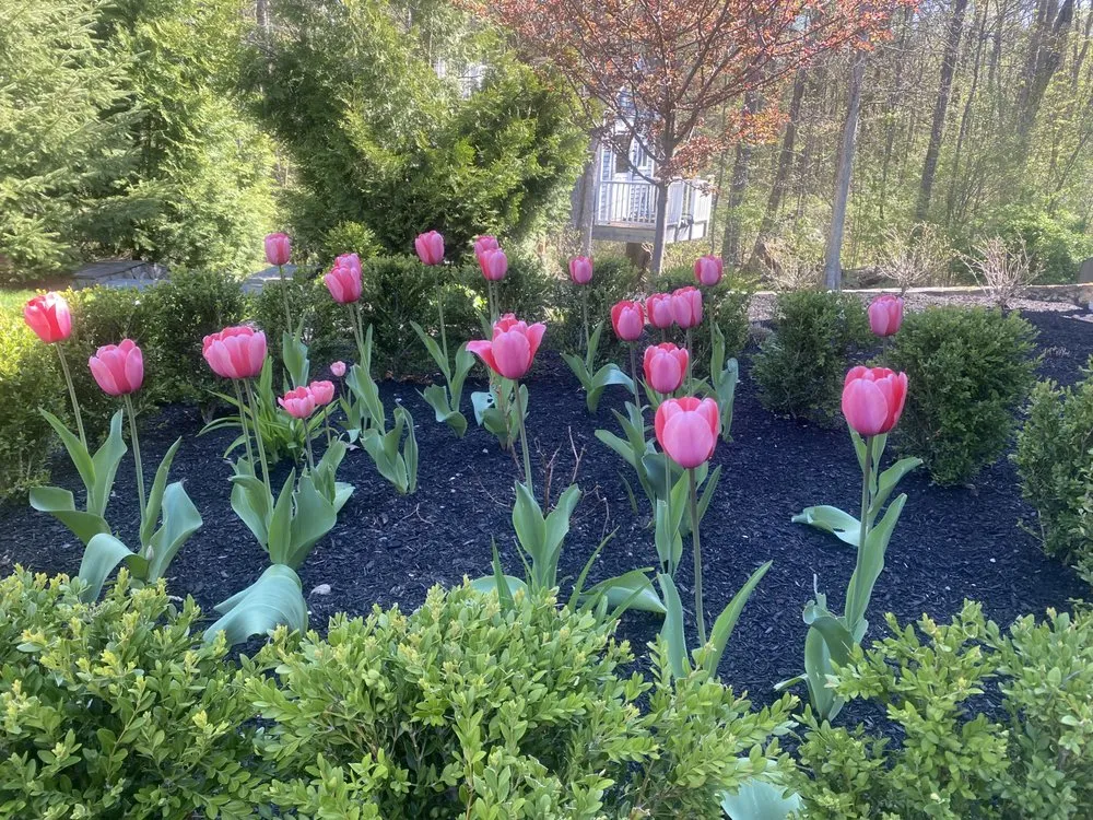 Custom lawn care service for year-round maintenance in Exeter, NH by The Stem and Petal Gardeners