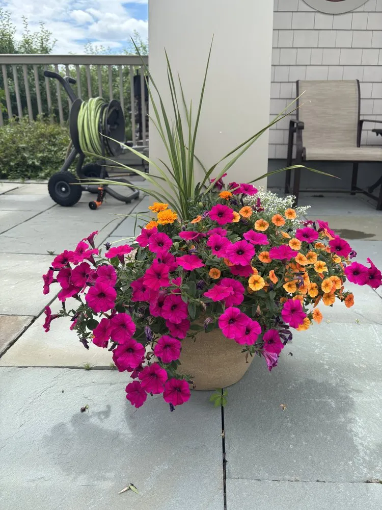 Expert yard cleanup service in Exeter, NH by The Stem and Petal Gardeners