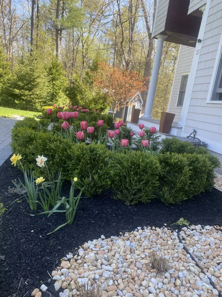 Top-rated landscaping services experts serving Exeter, NH - The Stem and Petal Gardeners