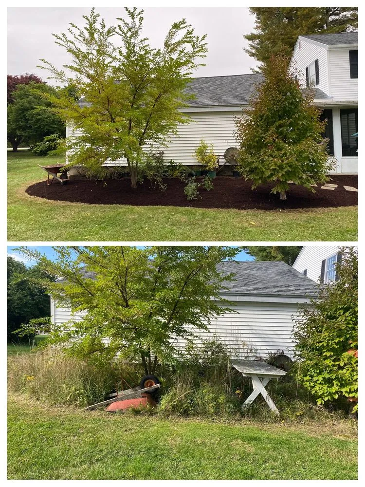 Affordable yard cleanup service for outdoor upgrades in Exeter, NH by The Stem and Petal Gardeners