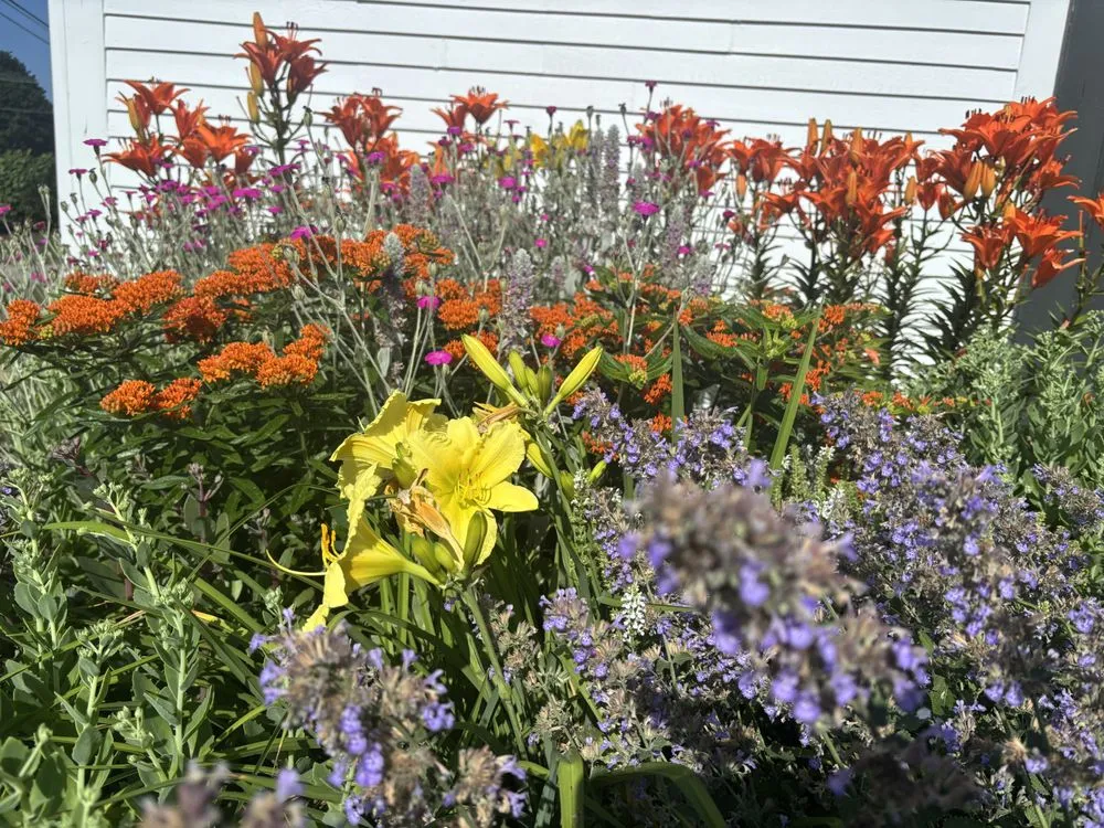 Top-rated residential landscaping experts serving Exeter, NH - The Stem and Petal Gardeners