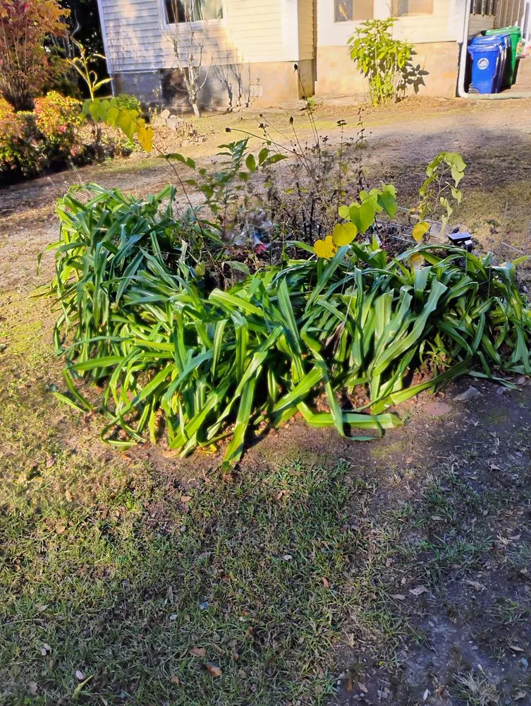 Expert lawn care service in Lithonia, GA by The Stephens Bros Lawn Care Service