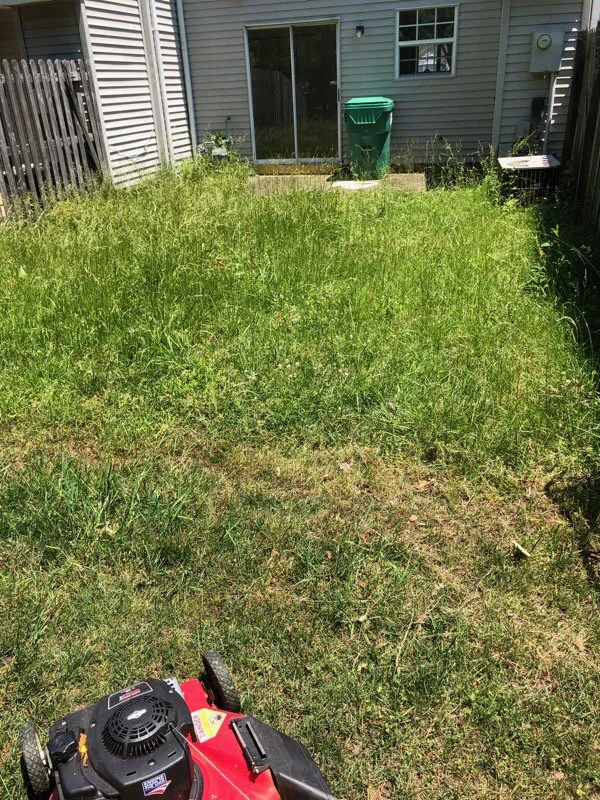 Trusted residential landscaping for outdoor upgrades across Newport News, VA - The Sterling Group