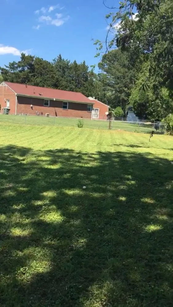 Expert residential landscaping for year-round maintenance across Newport News, VA - The Sterling Group