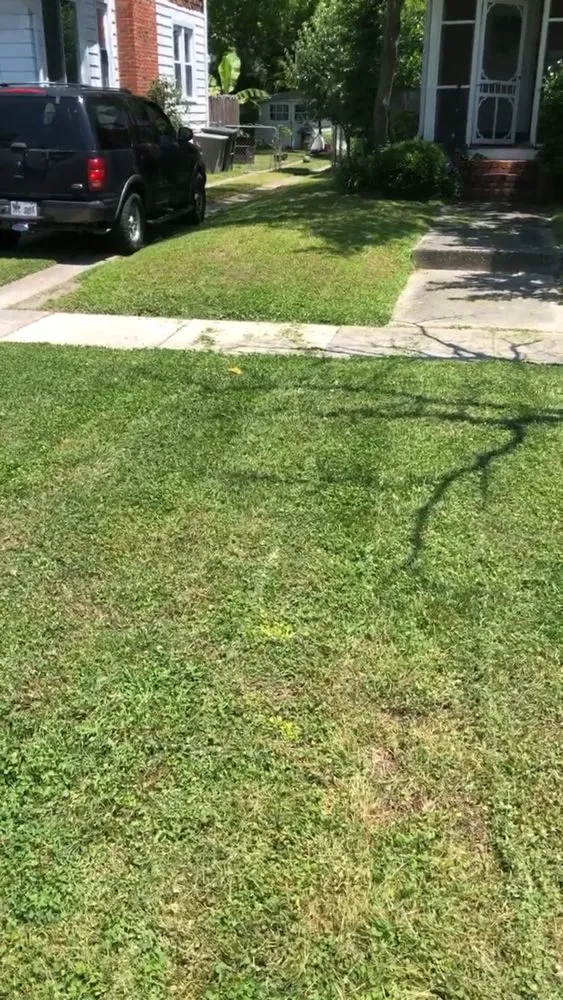 Custom lawn care service for outdoor upgrades across Newport News, VA - The Sterling Group