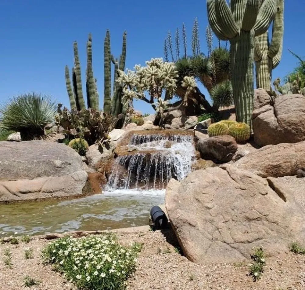 Top-rated yard cleanup service experts serving Phoenix, AZ - The Stone Yard