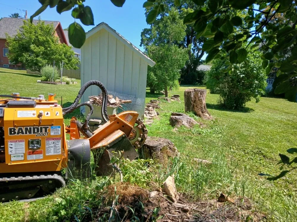 Trusted residential landscaping in Lincolnville, ME by The Stump Guy