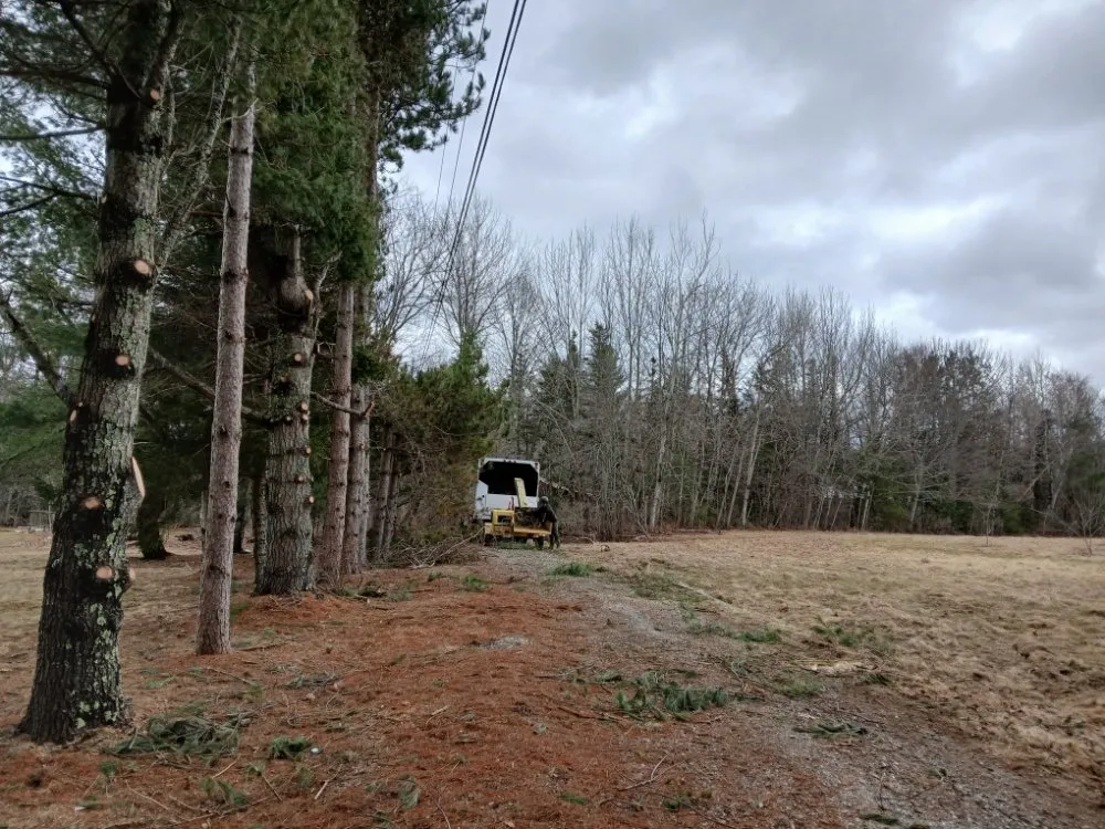 Top-rated yard cleanup service in Lincolnville, ME by The Stump Guy