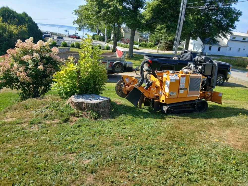 Custom residential landscaping in Lincolnville, ME by The Stump Guy