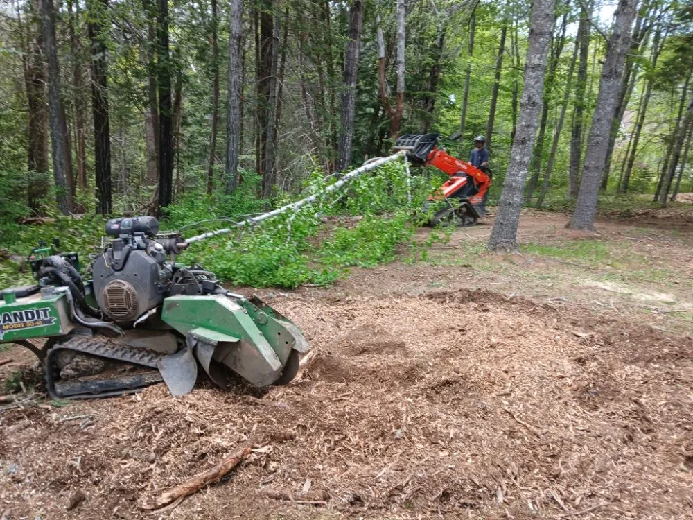 Trusted yard cleanup service for year-round maintenance in Lincolnville, ME by The Stump Guy