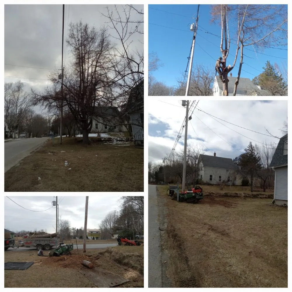 Custom landscaping services experts serving Lincolnville, ME - The Stump Guy