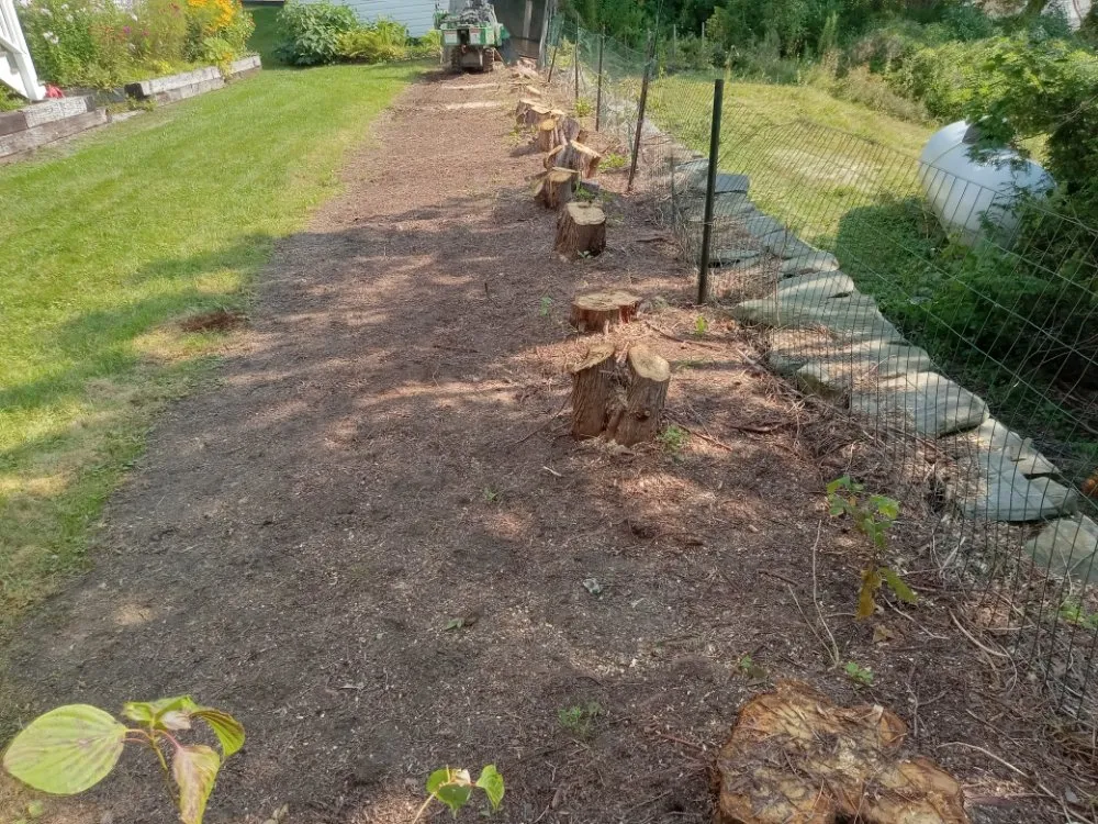 Professional lawn care service for year-round maintenance in Lincolnville, ME by The Stump Guy