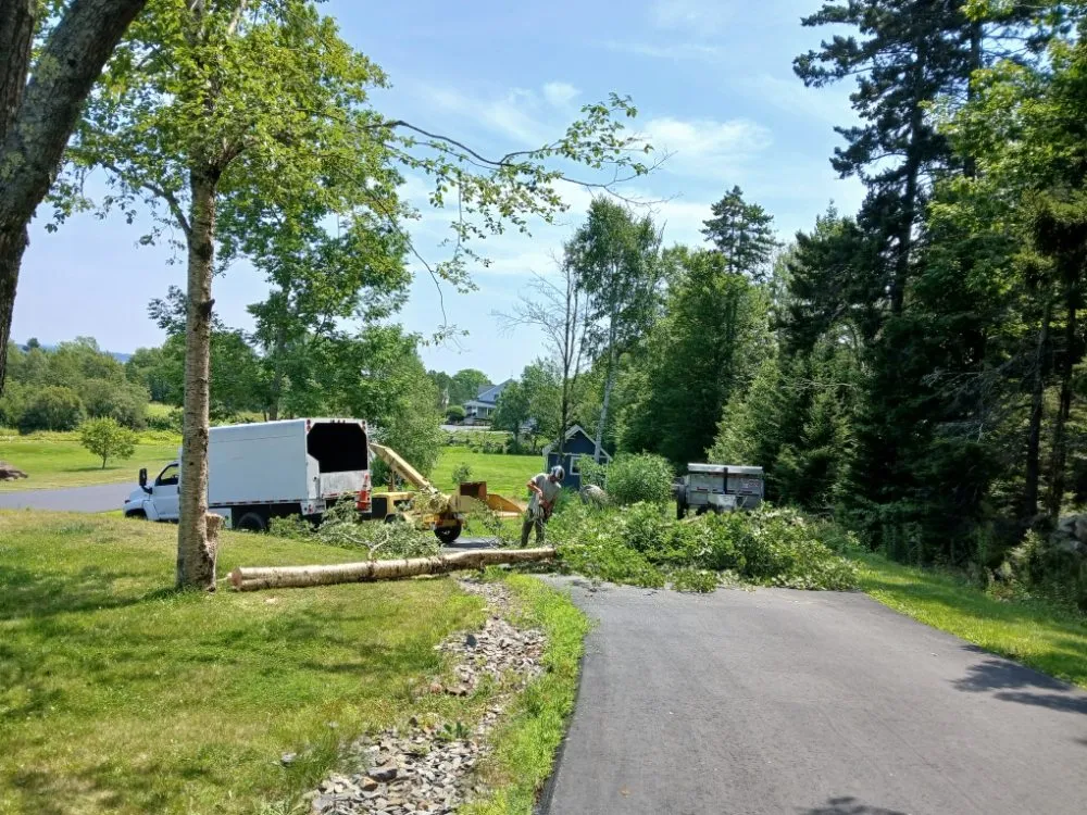 Professional garden landscaping for outdoor upgrades in Lincolnville, ME by The Stump Guy