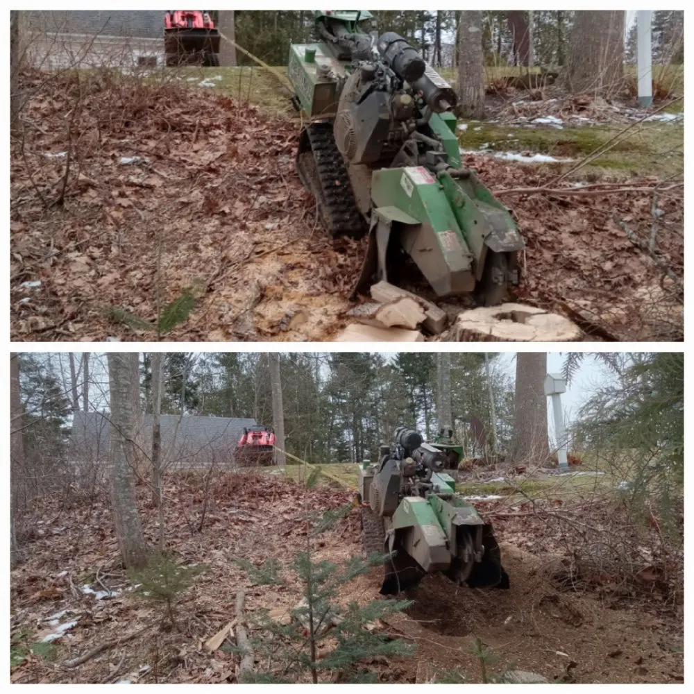 Trusted lawn care service in Lincolnville, ME by The Stump Guy