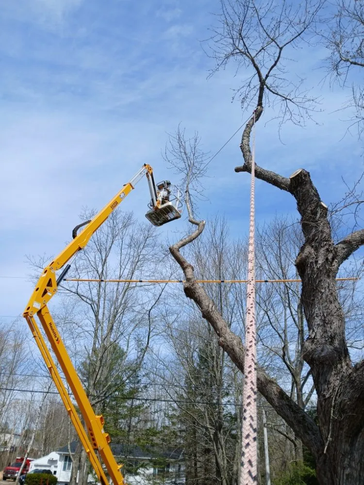 Top-rated lawn mowing service for outdoor upgrades in Lincolnville, ME by The Stump Guy