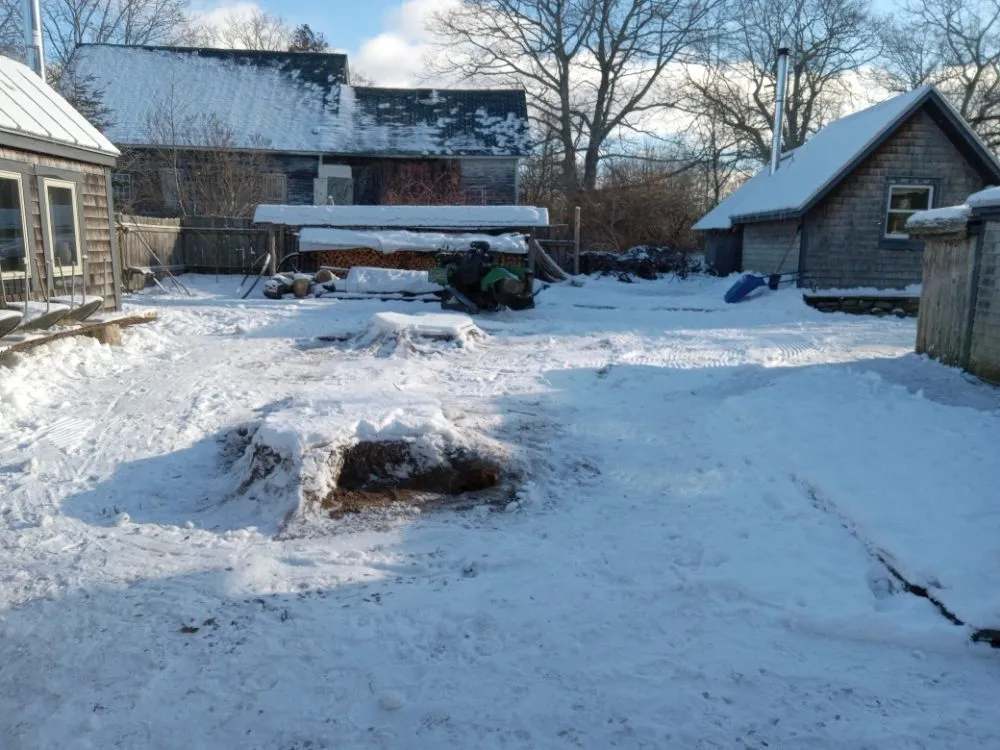 Local yard cleanup service in Lincolnville, ME - The Stump Guy