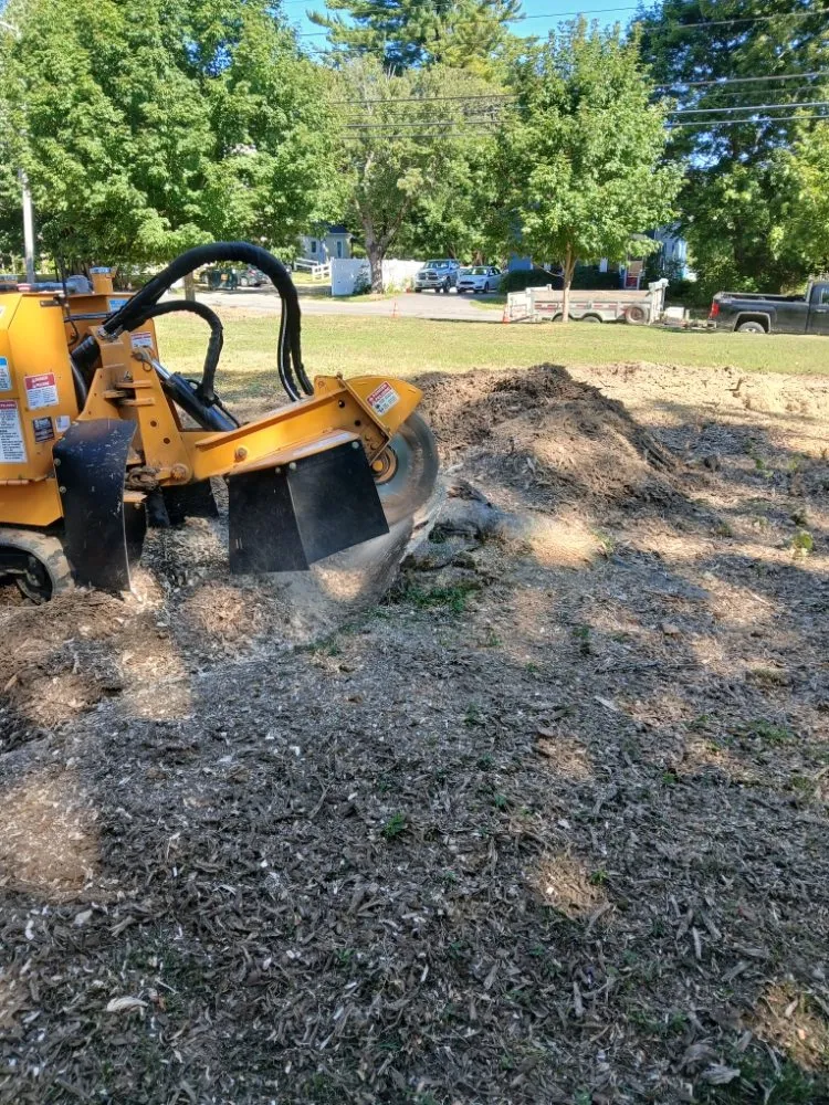 Reliable lawn care service for year-round maintenance across Lincolnville, ME - The Stump Guy
