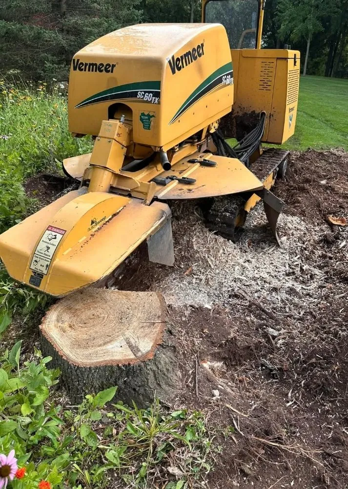 Professional lawn care service in Green Bay, WI - The Stump Terminator