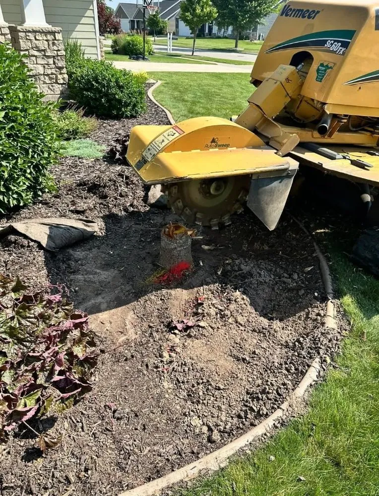 Local yard maintenance for residential properties across Green Bay, WI - The Stump Terminator