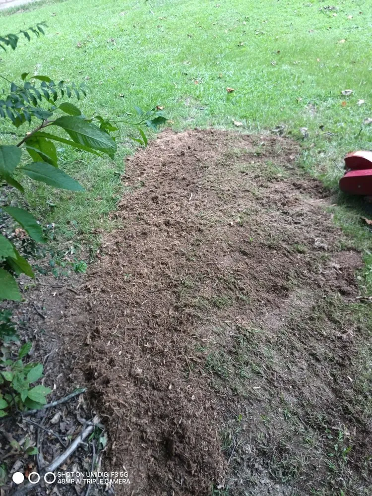 Affordable outdoor landscaping for outdoor upgrades across Covington, GA - The Stumpy Team