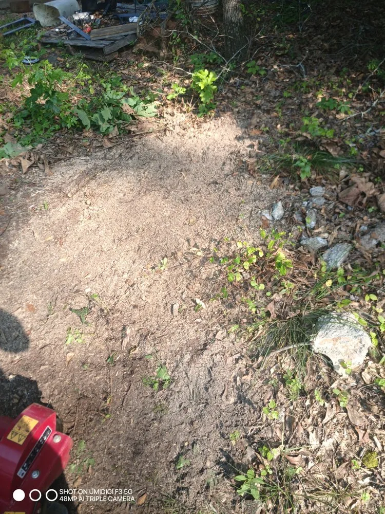 Local lawn mowing service for homes across Covington, GA - The Stumpy Team