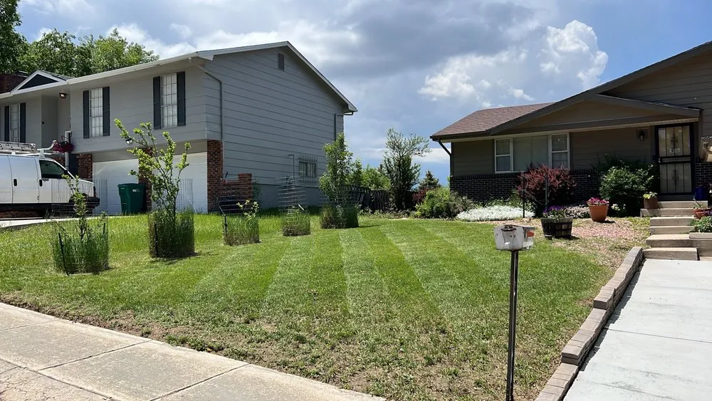 Reliable yard maintenance in Colorado Springs, CO - The Sustainable Lawn