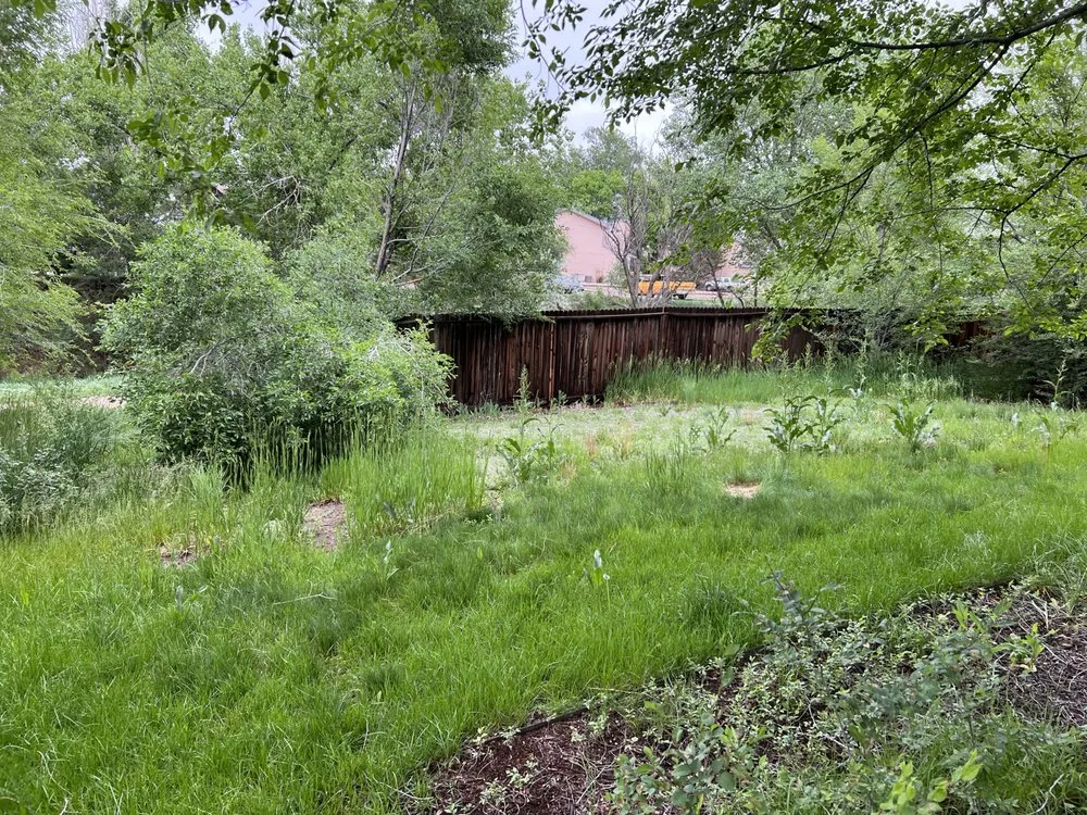 Expert lawn mowing service in Colorado Springs, CO - The Sustainable Lawn