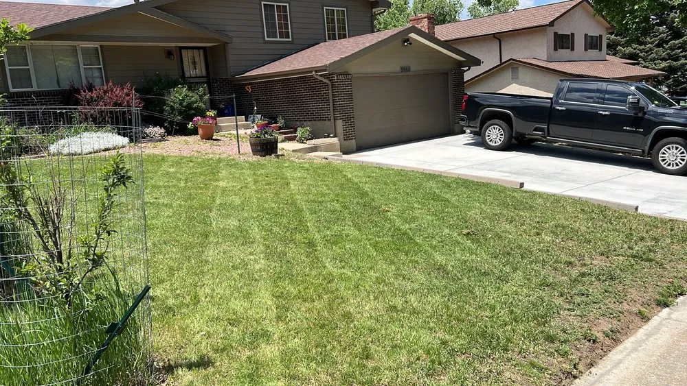 Professional yard cleanup service in Colorado Springs, CO - The Sustainable Lawn