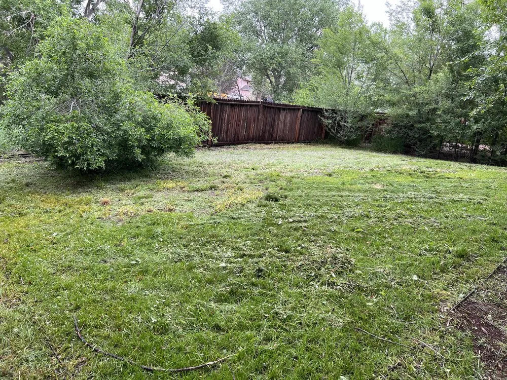 Professional landscaping services experts serving Colorado Springs, CO - The Sustainable Lawn