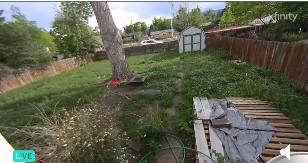 Professional landscaping services in Colorado Springs, CO by The Sustainable Lawn