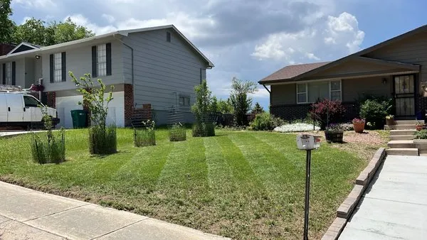 The Sustainable Lawn Logo