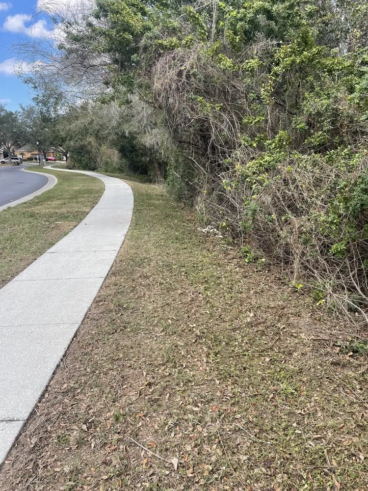 Custom landscape installation experts serving Hudson, FL - The Teide Landscaping