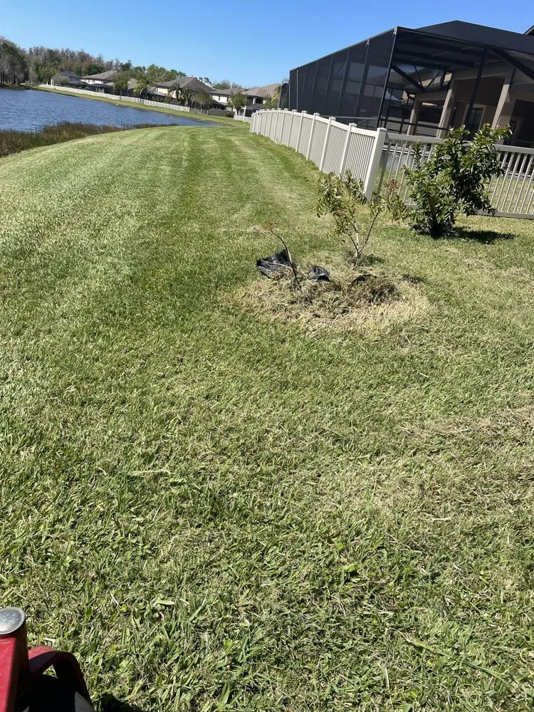 Reliable lawn mowing service for outdoor upgrades in Hudson, FL by The Teide Landscaping
