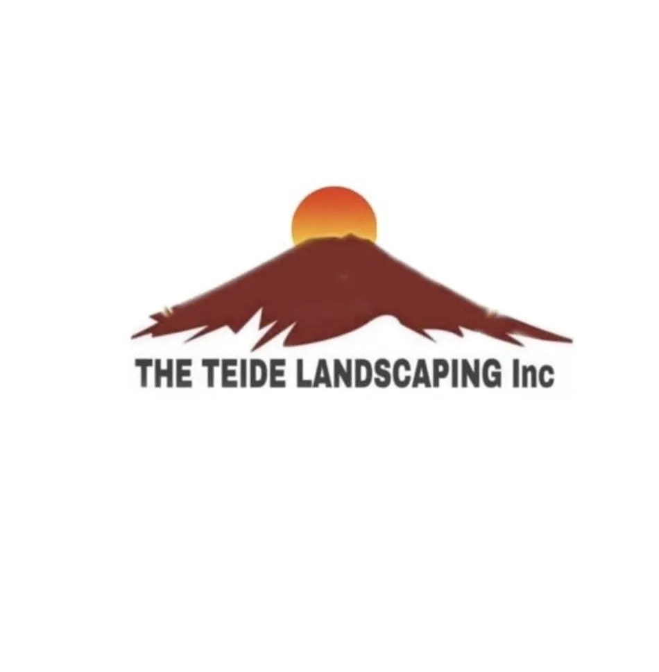 Professional landscaping services in Hudson, FL by The Teide Landscaping