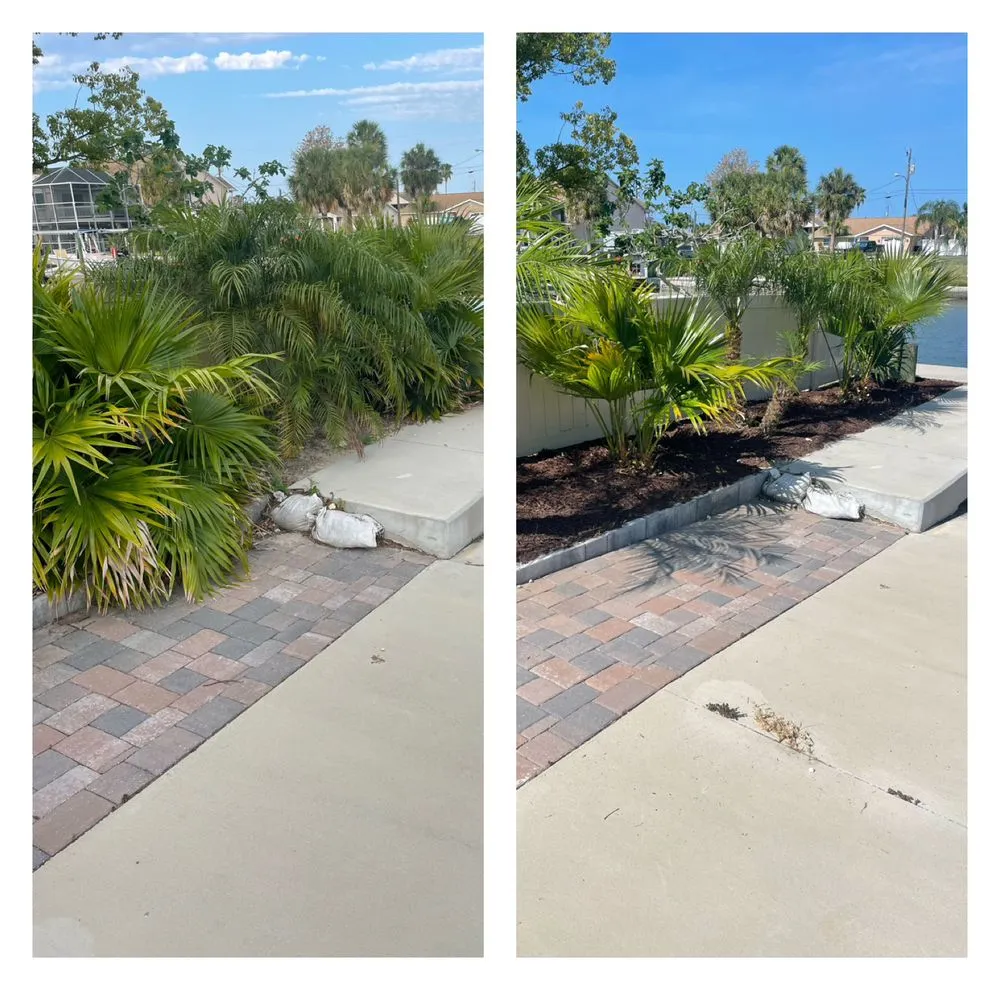 Reliable landscaping services experts serving Hudson, FL - The Teide Landscaping