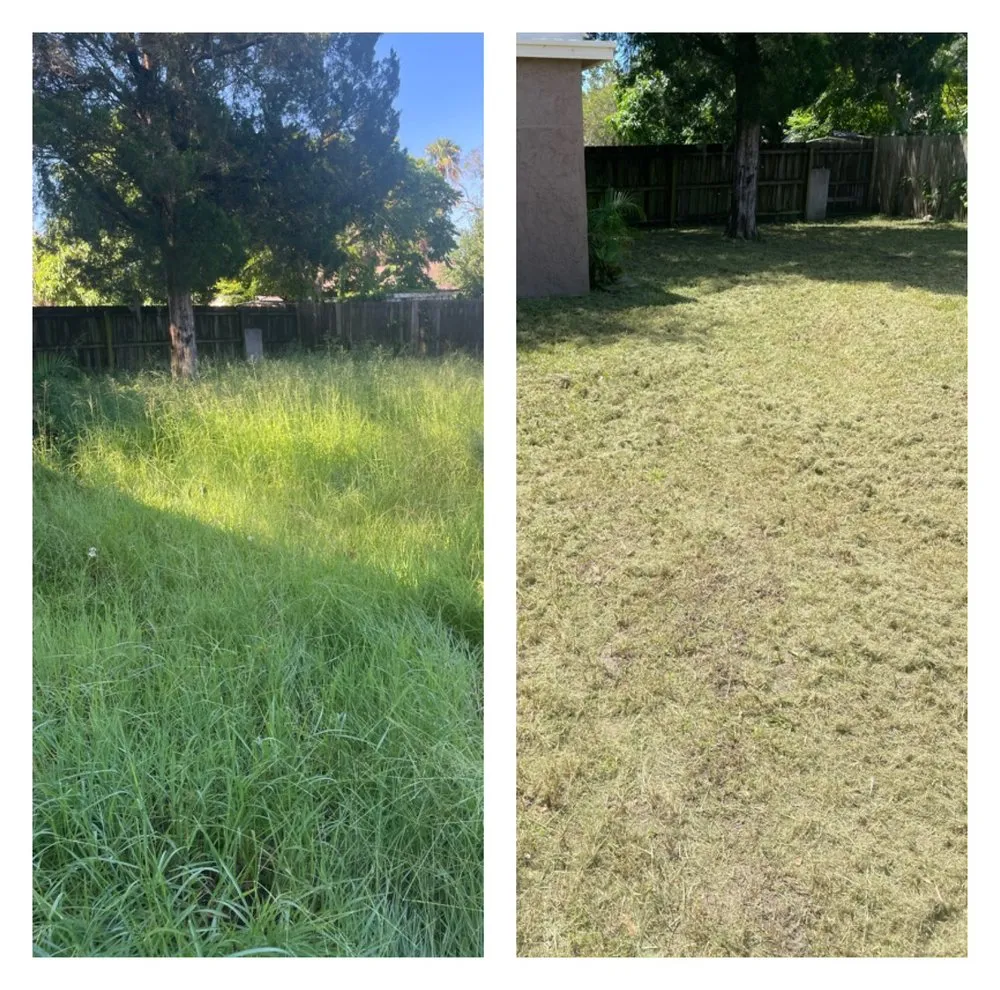 Local yard cleanup service with custom design in Hudson, FL by The Teide Landscaping