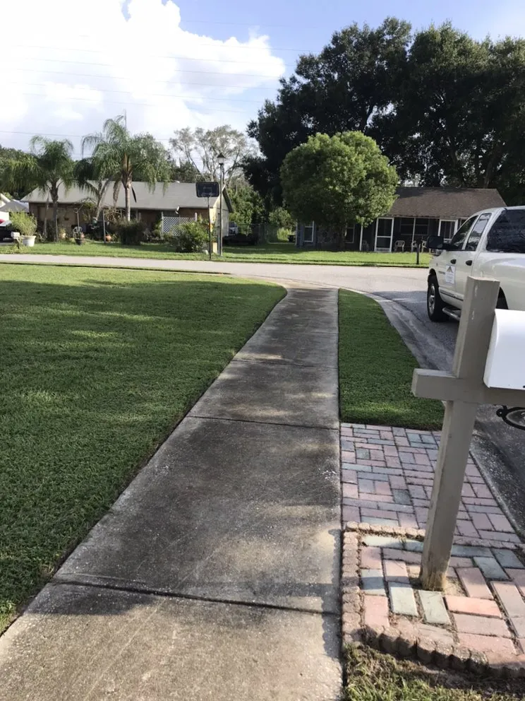Reliable residential landscaping experts serving Hudson, FL - The Teide Landscaping
