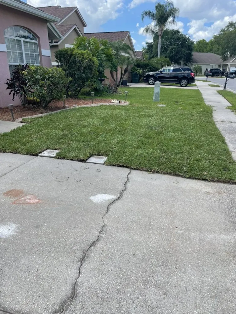 Affordable landscape installation experts serving Hudson, FL - The Teide Landscaping