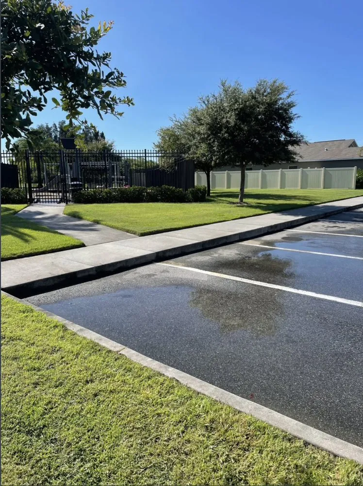 Custom yard cleanup service experts serving Hudson, FL - The Teide Landscaping