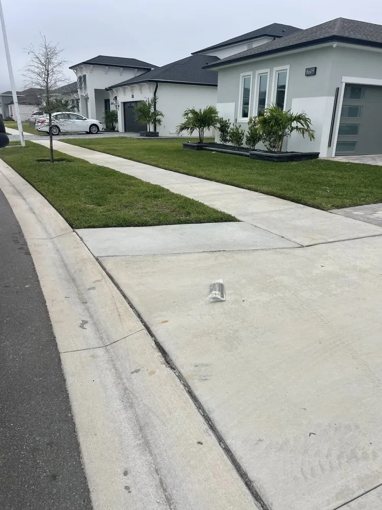 Custom yard cleanup service experts serving Hudson, FL - The Teide Landscaping