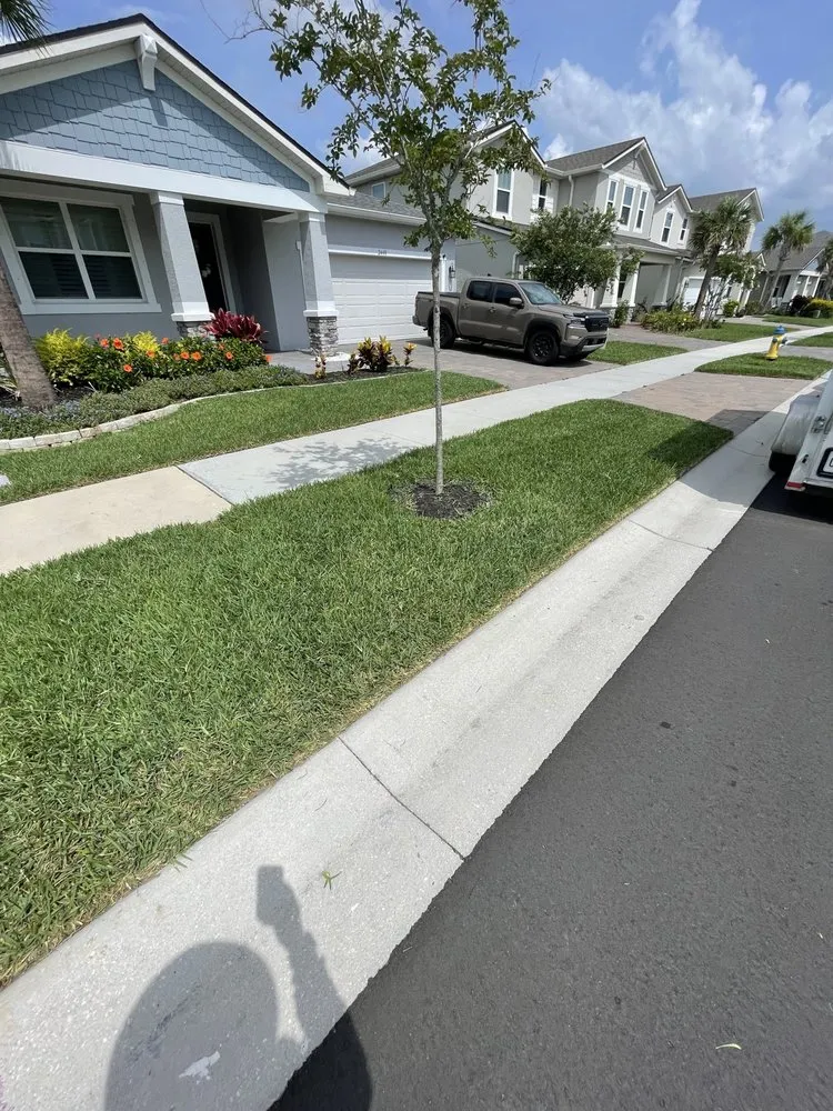 Trusted lawn care service in Hudson, FL - The Teide Landscaping