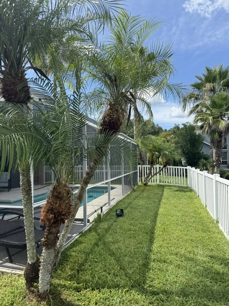 Custom lawn care service experts serving Hudson, FL - The Teide Landscaping