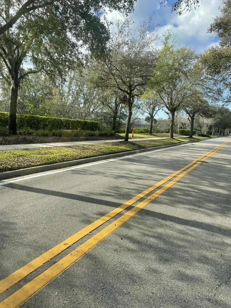 Expert landscaping services experts serving Hudson, FL - The Teide Landscaping