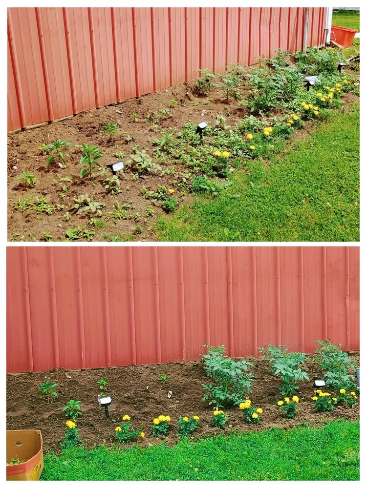 Affordable landscape design in Saginaw, MI by The Tending